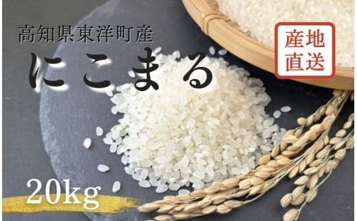 S249-3 ＜2026年10月発送＞令和8年産にこまる ＜20kg＞国産 米 お米 高知県産