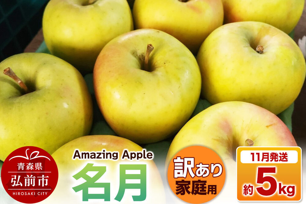 【26年11月下旬発送】りんご 名月【訳あり】家庭用 約5kg [りんご 名月 訳あり 家庭用 5kg アップル おいしい 果実 果物 美味 林檎 青森県 弘前市]