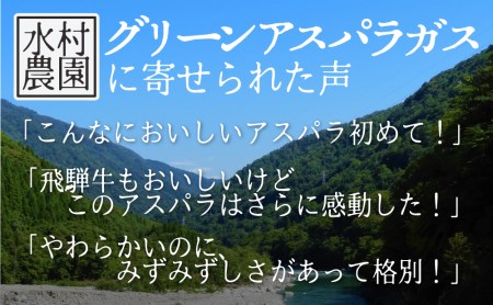 《期間限定》飛騨のきれいな水と澄んだ空気が育んだ柔らか甘いアスパラガス5kg![F0035] syun80
