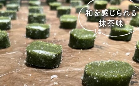サブレ 青いクマのサブレ缶 パーティーサイズ 抹茶【Sweets＆Deco 青いクマ】クッキー 焼き菓子 大容量[MCL007]