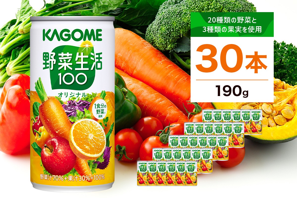 
            カゴメ 野菜生活100 オリジナル 190g 30本 ns111-009-30【 KAGOME 那須塩原市 ギフト にんじん 野菜 ジュース 飲料 ドリンク】
          