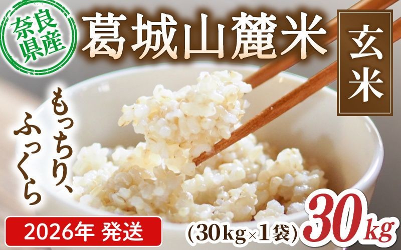 
                  先行予約 葛城山麓米 ヒノヒカリ（玄米）計30kg [ 30kg×1袋 ] 令和8年産 【2026年10月下旬～順次発送】／ スマイル葛城農業 若手農家 玄米 栄養 新規就農 ごはん お米 米 おいしい ふっくら 農家直送 奈良県 葛城市【smlk027】
                