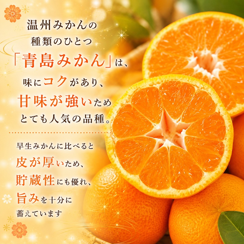 三ヶ日 青島みかん エキストラライト シロップ漬 1本（900g×
