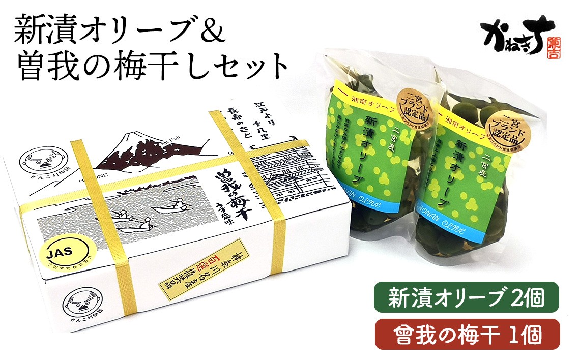 
            新漬オリーブ＆曽我の梅干しセット【かねきち】 ／ グリーンオリーブ 曾我梅林 整腸作用 醗酵食品 湘南 神奈川県 特産品 新漬オリーブ 梅干し 食塩漬け  500g 梅 まろやか 酸味 さっぱり 漬物 詰め合わせ おつまみ 和食 食卓 常温保存 伝統製法 No.076
          