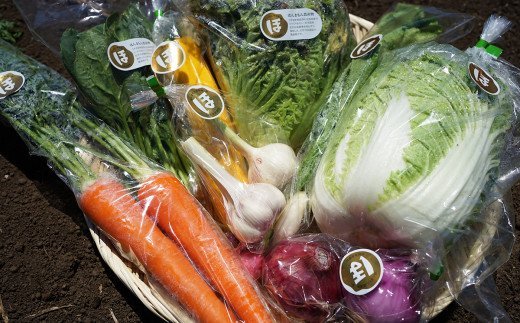 化学合成農薬等不使用で栽培！安心安全な「ほんまもん野菜」を8品目お届け♪