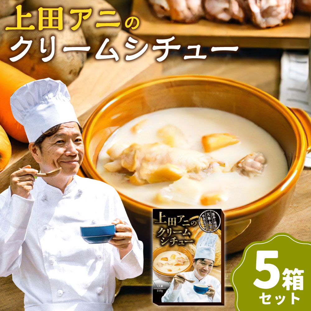 【ふるさと納税】上田アニのクリームシチュー 5箱セット 計1.25kg（250g×5箱） 鶏手羽元 鶏肉 お肉 野菜 じゃがいも にんじん たまねぎ 洋風惣菜 キャンプ飯 非常食 熊本県産 国産 九州 熊本県 上天草市 送料無料