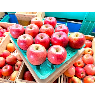 【26年4月発送予定】平均糖度13度以上! 葉とらずサンふじ 約3kg 訳あり【配送不可地域：離島】