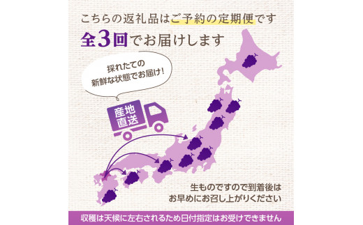 【先行予約】福岡ぶどう定期便【全3回】【ＪＡふくおか】ぶどう食べ比べ便（種なし巨峰、ピオーネ、シャインマスカット）