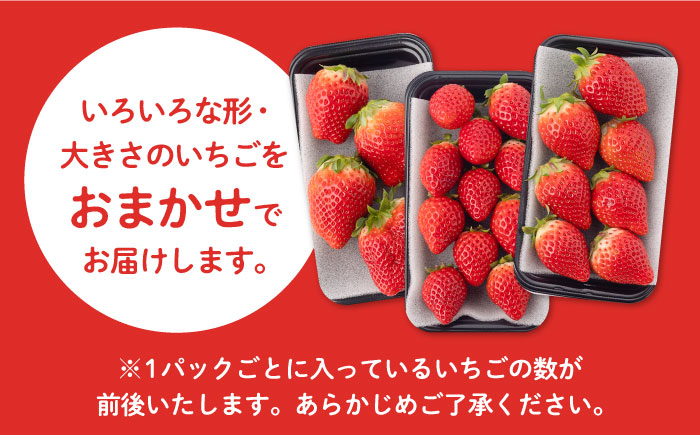 【先行予約】【産地直送】白石産いちご「いちごさん」 約150g×12パック（計1800g以上）【道の駅しろいしカンパニー】 [IAA039]