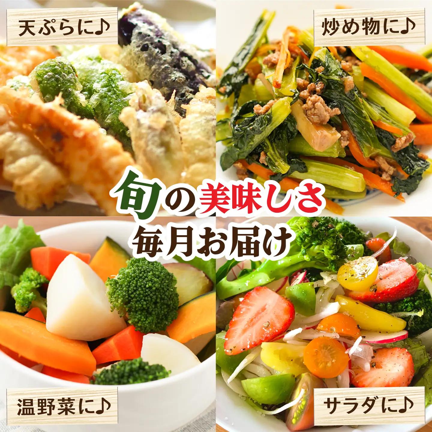 【12回】野菜定期便 15品目 野菜セット [SCZ019]