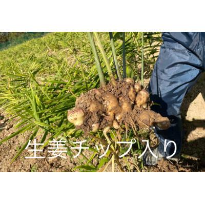 ふるさと納税 福知山市 京都生姜ほうじ茶 1袋 |  | 02