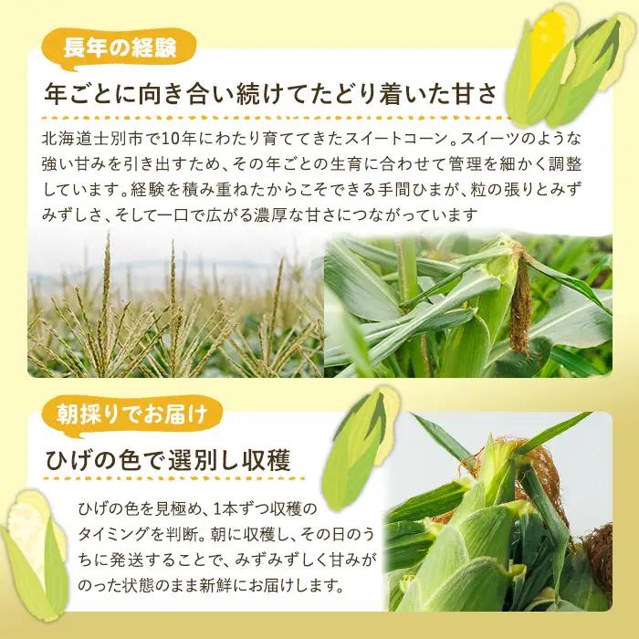 【2026年発送】【数量限定】スイートコーン 8本 ドルチェドリーム 2026年7月下旬以降発送予定 とうもろこし コーン 北海道 【おがた農園】A7060