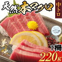 【ふるさと納税】厳選 天然本まぐろ中トロ1柵 たっぷり 堪能 年末 お正月 正月 まぐろ マグロ 鮪 本マグロ 本まぐろ 天然 魚 海鮮 魚介 比較 年末発送 正月