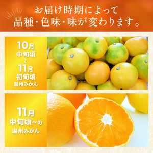 「濃厚な味のとろける美味しさ」温州みかん 10kg《先行予約》【0059-3】