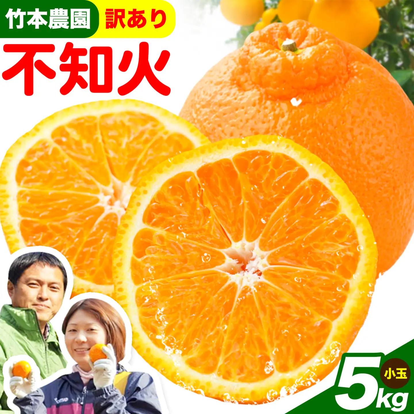 訳あり 不知火 5kg しらぬい