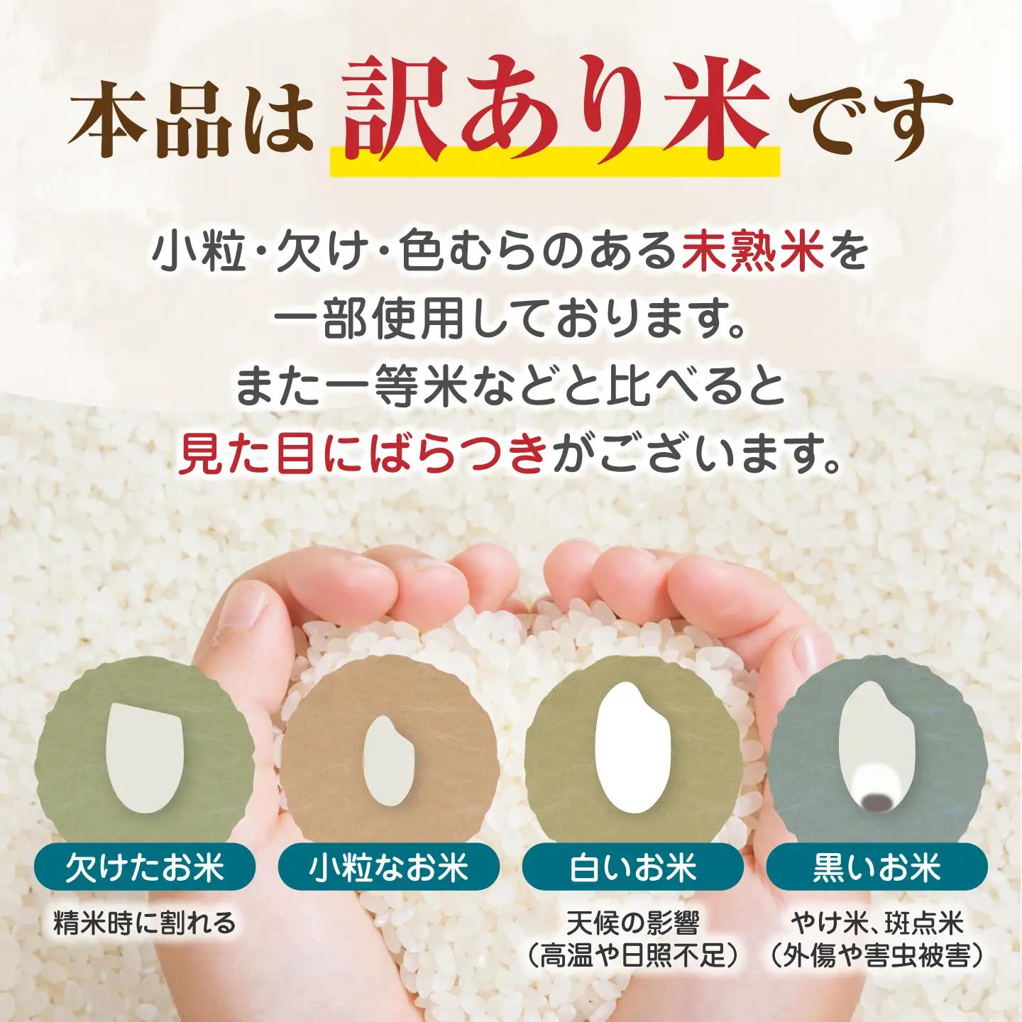 【先行予約】【全12回定期便】無洗米 灯籠米 5kg 令和8年産 熊本県産米 ブレンド米 送料無料 お米 国産 農家応援 【株式会社 農産ベストパートナー】[ZBP172]