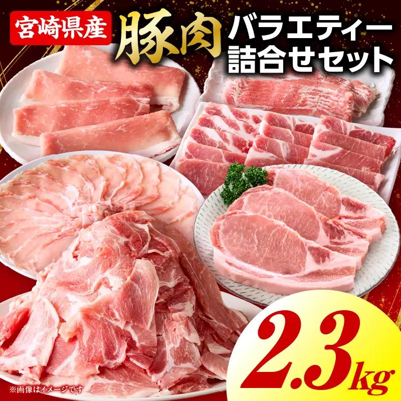 豚肉バラエティー詰合せセット【2.3kg】豚肉 豚肉詰め合わせ セット 小間切れ ウデ モモ スライス ロース バラ 肩ロース とんかつ 冷しゃぶ 豚汁 生姜焼き 国産 プレゼント 贈答 贈り物 ギフト_kn085-013