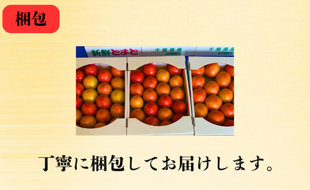 【 先行予約 】 とまと りんか 4kg ﾄﾏﾄ 野菜 リコピン トマトジュース ジュース ケチャップ トマトスープ サラダ パスタ甘い  贈答 ギフト ジューシー 人気 定番 美味しい 厳選 新鮮 