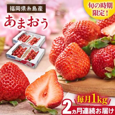ふるさと納税 糸島市 【2回定期便】【2027年2月より発送】糸島産【春】 あまおう4パック計1kg[AIK026]
