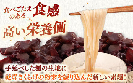 きくらげ麺 1袋（4束）ADBA015 素麺 人気 素麺 希少