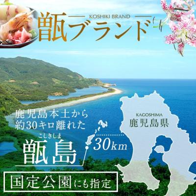 ふるさと納税 薩摩川内市 【先行受付】数量限定 甑島のパッションフルーツ 2.5kg ご自宅用 BS-639 |  | 03