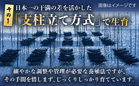 【全2回定期便】初摘み海苔 焼のり贅沢10袋セットF 計20袋（10袋×2回） / 海苔 / 有明の風 [41AACO011]