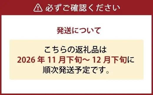 あたご梨 3～6玉 合計約3kg 化粧箱 愛宕梨 なし 梨 ナシ 果物 フルーツ 果実 岡山県 倉敷市【2026年11月下旬～12月下旬迄順次発送予定】