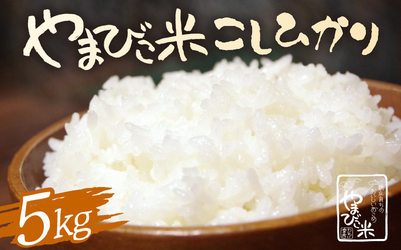 
            【先行予約】【令和7年産・新米】コシヒカリ 5kg 新庄やまびこ米（白米）【2025年10月以降順次発送予定】特A 白米 こめ コメ お米 おこめ こしひかり 5キロ 10キロ おすすめ お米ならこれ 産地直送  [m23-a015]
          