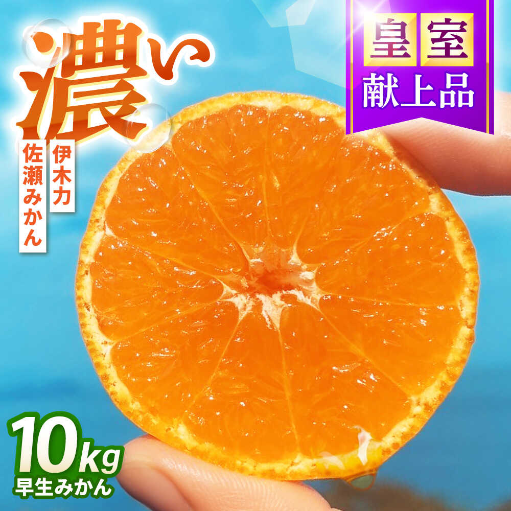 【ふるさと納税】早生みかん 10kg / みかん ミカン 佐瀬みかん 伊木力みかん 濃い 温州みかん 薄皮 10kg / 諫早市 /伊佐農園[AHFI012]