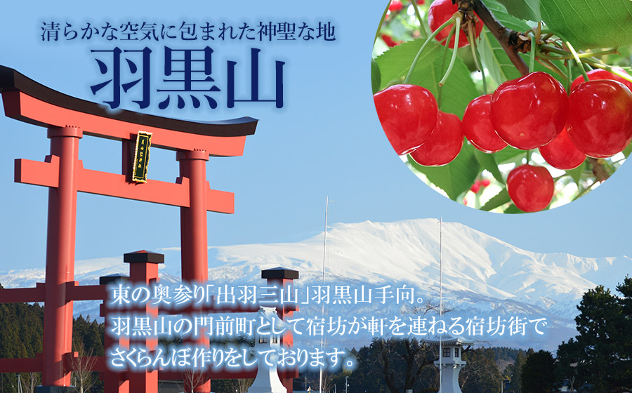 【令和8年産】 さくらんぼ　紅秀峰 2Lサイズ バラ詰め 1kg(500g×2P)　小林農園　| サクランボ チェリー 果物 くだもの フルーツ 1キロ 旬 人気 美味しい 2026年産 お取り寄せ 