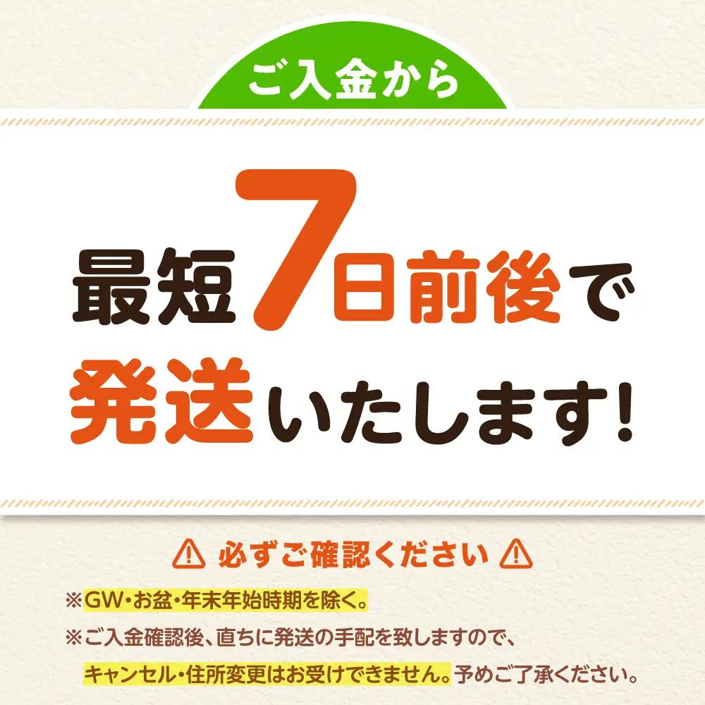 平飼い卵 24個 ベジ彩ファーム[AOEJ003] たまご