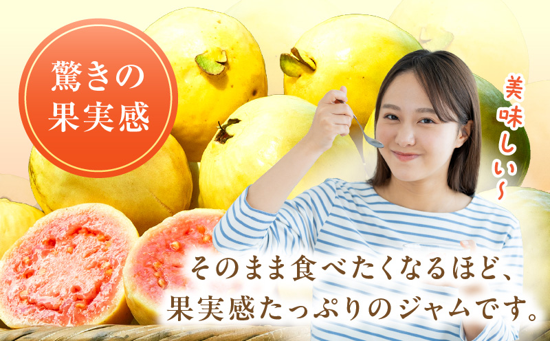 フルーツジャム グァバ(合計4個・各140g)_K021-031