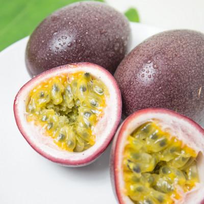 ふるさと納税 奄美市 《奄美大島産パッションフルーツ》贈答用化粧箱入り約1kg(12玉入り) |  | 02