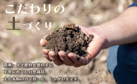 先行予約 じゃがいも 約5kg ニシユタカ 【12月初旬~4月中旬頃発送予定】