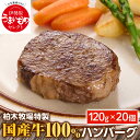 【ふるさと納税】柏木牧場特製 国産牛100% ハンバーグ (120g×20個) ジュワッと肉汁まで美味い！｜ギフト 贈り物 人気 お土産 正月 肉の日 バーベキュー 冷凍便 惣菜 牛肉 焼くだけ [0068]