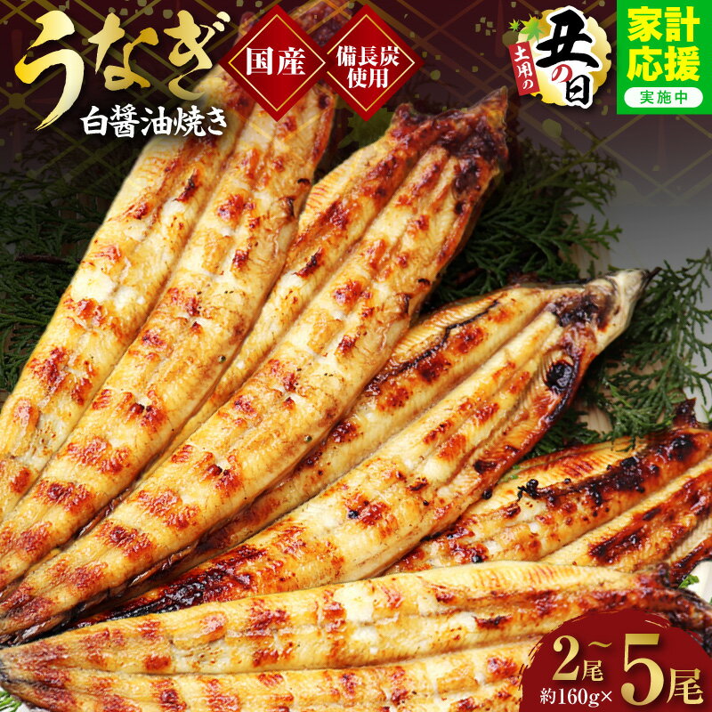 【ふるさと納税】特別規格 国産！ うなぎ白醤油焼き せいろ蒸し 備長炭仕上げ 鰻 備長炭 せいろ蒸し 脂のり 秘伝の白醤油 パリパリ ふっくら 食感 うな重 ひつまぶし おかず 冷凍 大阪府 泉佐野市 送料無料 先行予約 土用の丑の日