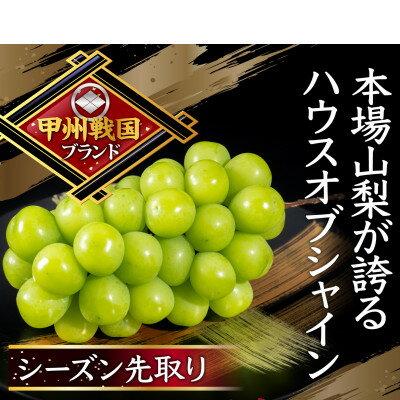 【ふるさと納税】【本場山梨の真骨頂】全国に先駆けて話題のハウスオブシャインマスカットの旬を堪能2025年6月上旬発送【配送不可地域：離島】【1494994】