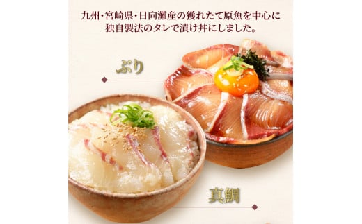 【冷凍】ぶり・真鯛・かんぱち・生アトランサーモンの漬け丼4種食べ比べセット　100g×8袋　N019-ZB060