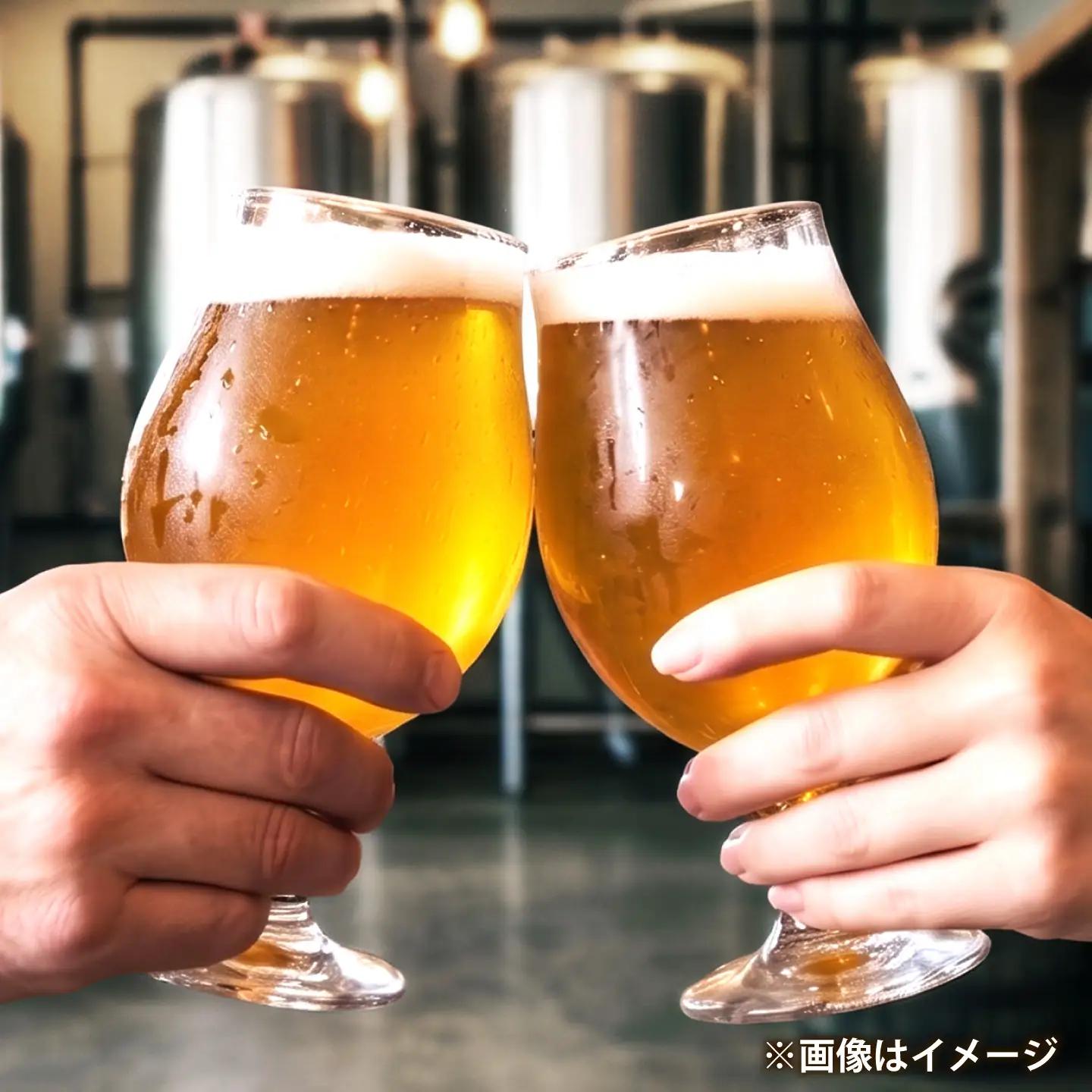クラフトビール サンシャインジグ 330mL×3本 SunshineJig ビール お酒 クラフトビール 地ビール 瓶ビール /DwarfBrewery[UFD003]