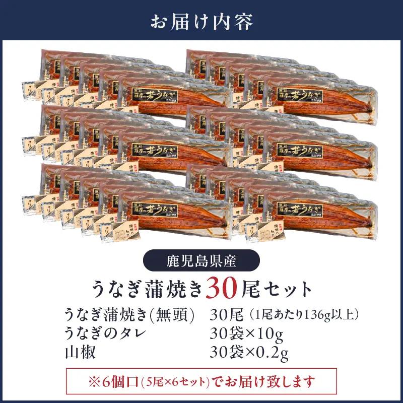  2121 鹿児島県産 うなぎ蒲焼 30尾 KN058-002-30 魚 冷凍 鰻