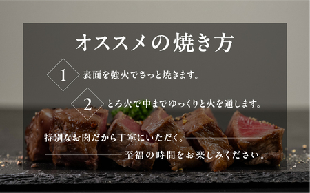 飛騨牛 極厚ヒレステーキ 3枚 [EN068] ヒレ