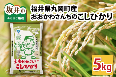【令和7年産】 おおかわさんちのこしひかり 5kg 精米 コシヒカリ [A-10810]