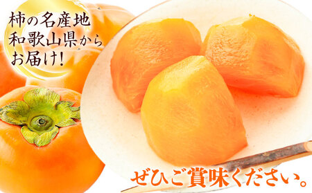 柿 厳選 富有柿 約4kg