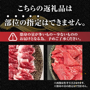 【冷凍】前沢牛 皿盛り 切り落とし すき焼き・しゃぶしゃぶ用 1kg 極上品 名牛 ブランド牛 料理 焼肉 ごはん おかず 部位指定不可 [U0212]