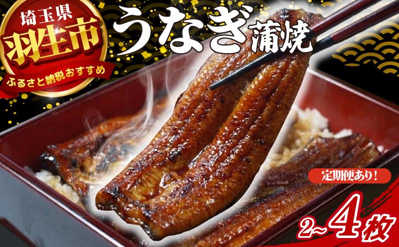 
                  うなぎ 鰻 蒲焼 2枚~4枚 定期便 冷蔵 山椒 付き 真空パック 小分け ウナギ うなぎ蒲焼 鰻蒲焼き 蒲焼き かば焼き 真空パック 個包装 unagi eel
                