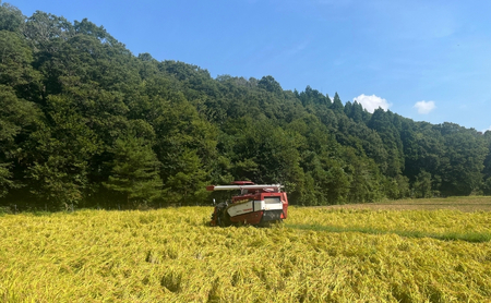 【先行予約】令和8年産 コシヒカリ 精米 5kg  コシヒカリ こしひかり 元田農産