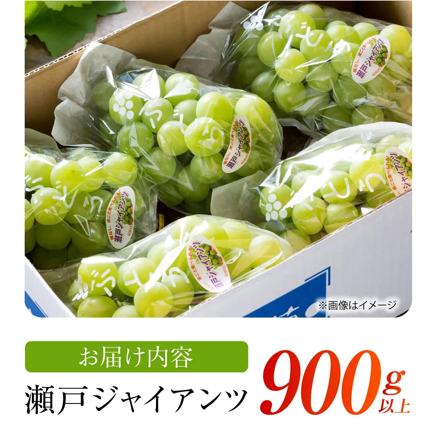 【先行予約】 瀬戸ジャイアンツ 900g以上 【小林農園】 / ブドウ ぶどう 果物 種なし[HAX003]