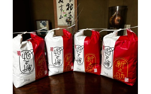【先行予約】令和8年産 旧村松町産 新之助 20kg | しんのすけ 新潟県産 お米 おこめ こめ コメ ご飯 ごはん 白米 精米 ブランド米 おすすめ 新潟県 五泉市 株式会社熊倉商店