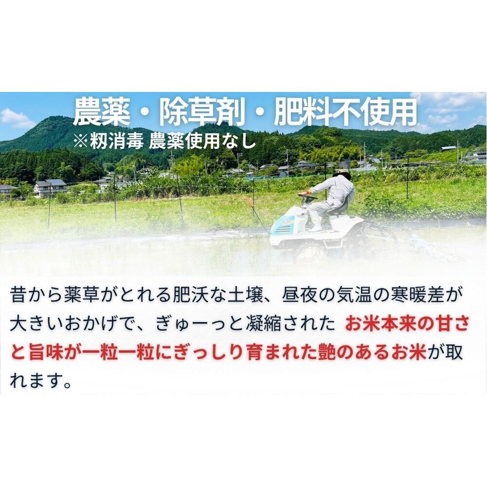 【定期便3回】自然栽培米 玄米 ＜令和7年産 3kg＞ ／ ふるさと納税 無農薬 米 お米 一等米 こめ コメ 国産 新米 玄米 農家やまおか 奈良県 宇陀市_イメージ3