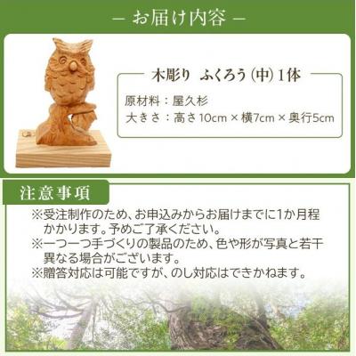 ふるさと納税 南九州市 木彫り ふくろう (中) |  | 03